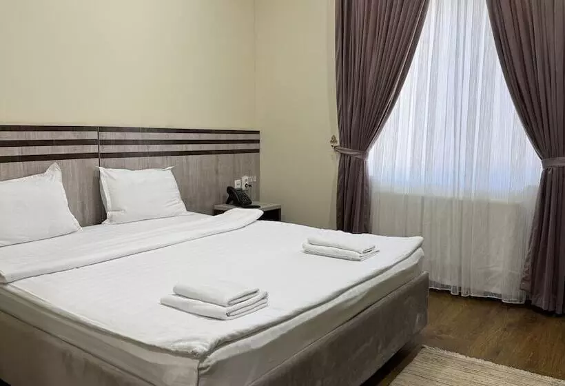 Rayyan Hotel Express