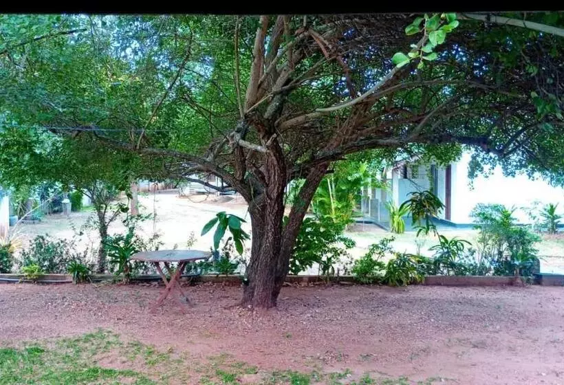 ホテル Panchavaasa