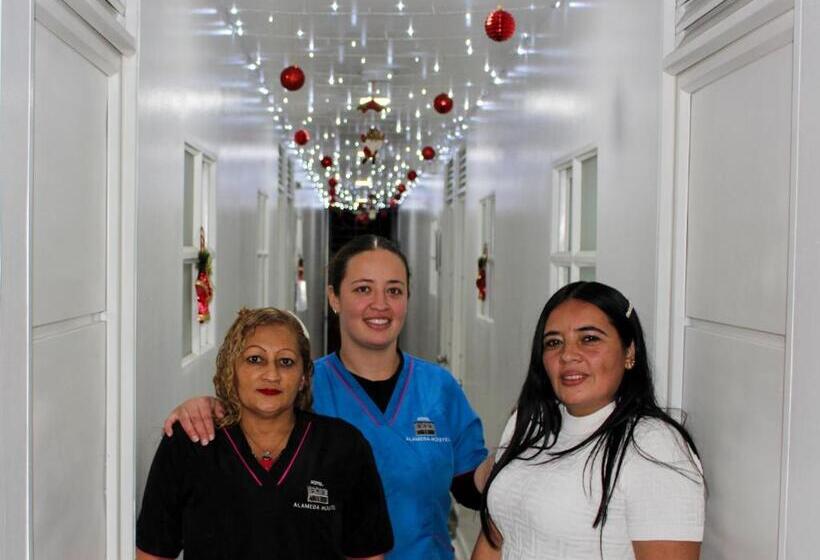 پانسیون Alameda Hostel