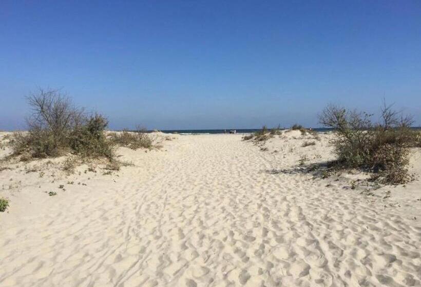 펜션 Deltarium Aegis