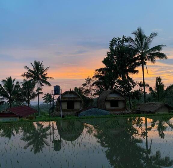 Bed and Breakfast Eco Homestory