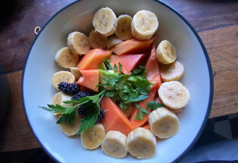 Bed and Breakfast Eco Homestory