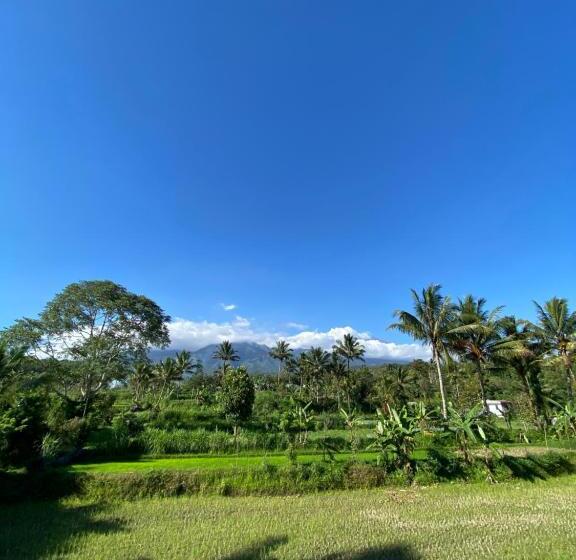 Bed and Breakfast Eco Homestory