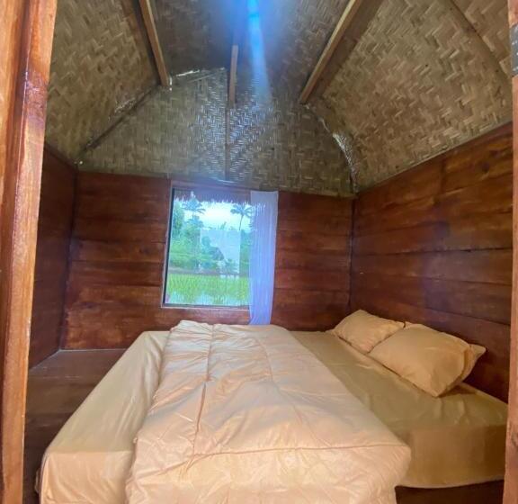 Bed and Breakfast Eco Homestory