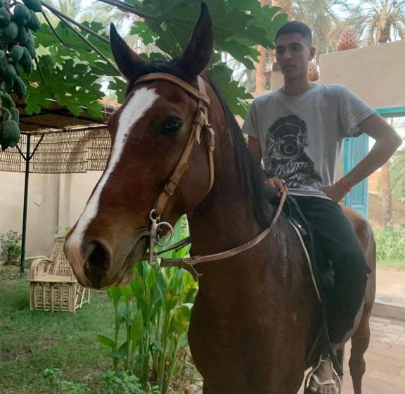 پانسیون L’aziza House