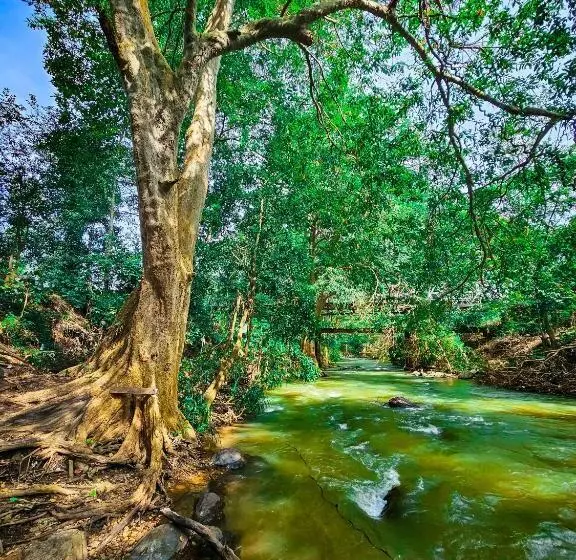 Majatalo Nisha S Hideaway