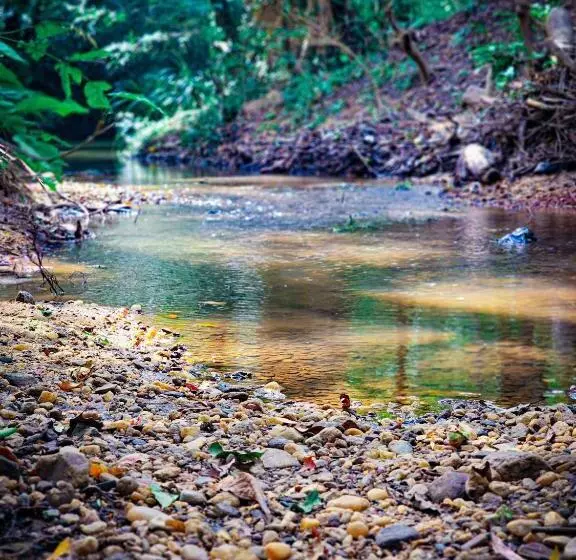 Majatalo Nisha S Hideaway