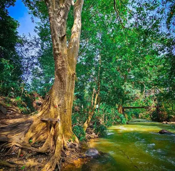 Majatalo Nisha S Hideaway