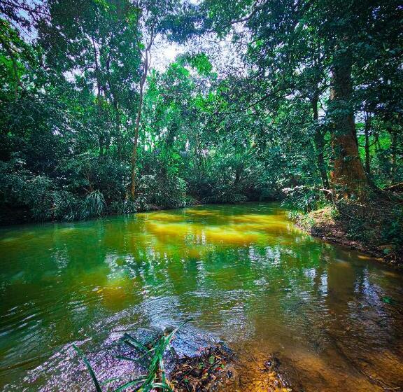 Panzió Nisha S Hideaway