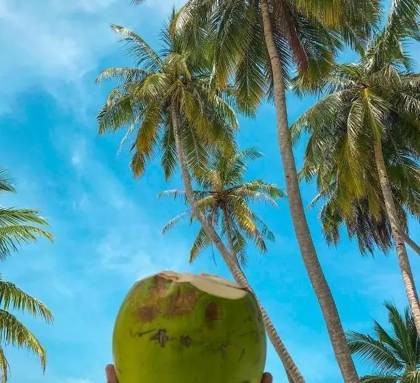 هاستل Kendhoo Holidays