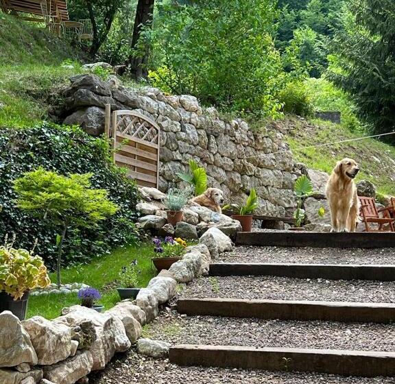 B&b Il Mulino Alla Busa