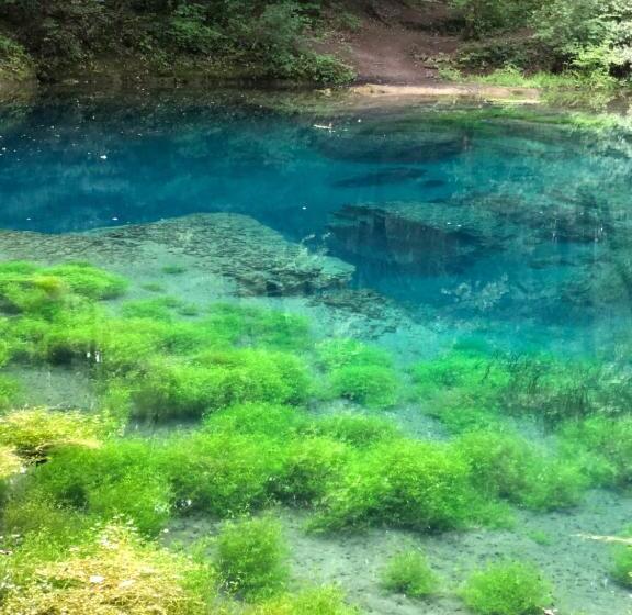 ベッドアンドブレックファースト L Hôtel Enfoncé, Chambres D Hôtes