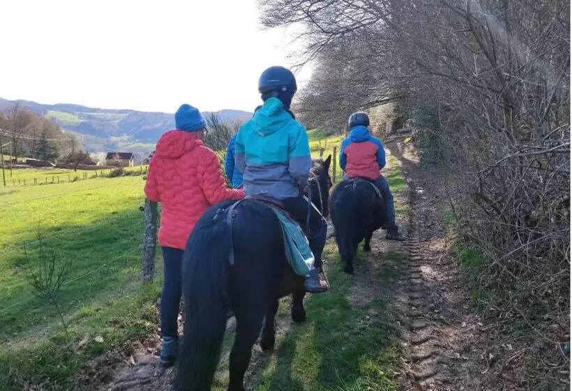 ベッドアンドブレックファースト L Hôtel Enfoncé, Chambres D Hôtes