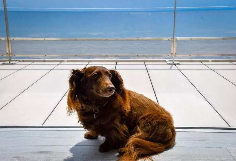 Hotelli La Se Ri Resort & Stay   Vacation Stay 63385v