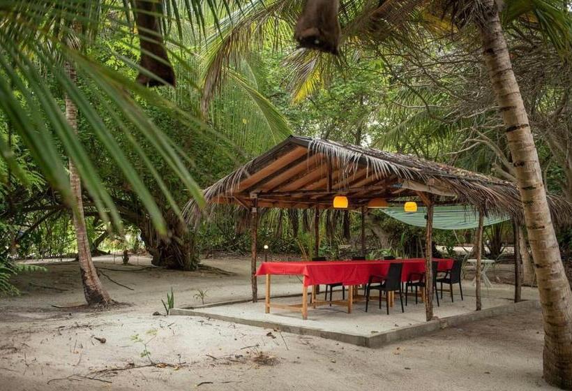 هتل Oceano Beach Vashafaru