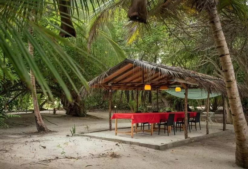هتل Oceano Beach Vashafaru