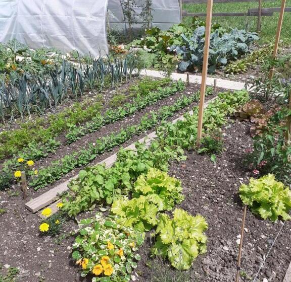 Bed and Breakfast La Maison Du Canal