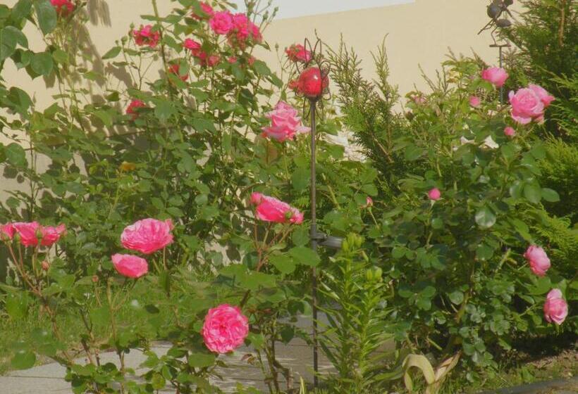 مبيت وإفطار Am Lindenbaum