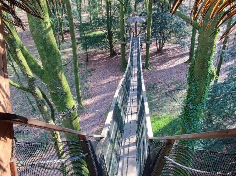 ベッドアンドブレックファースト Hébergements De Quénécan