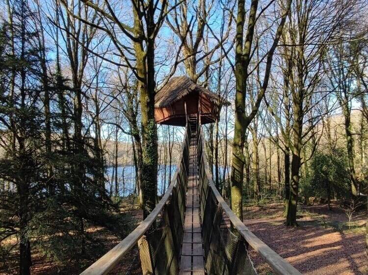 ベッドアンドブレックファースト Hébergements De Quénécan