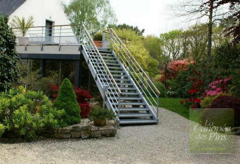 住宿加早餐  La Canopée Des Pins