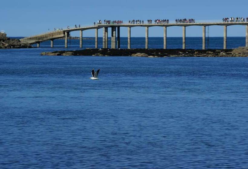 住宿加早餐  La Canopée Des Pins