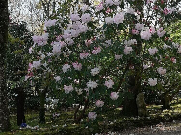 住宿加早餐  La Canopée Des Pins