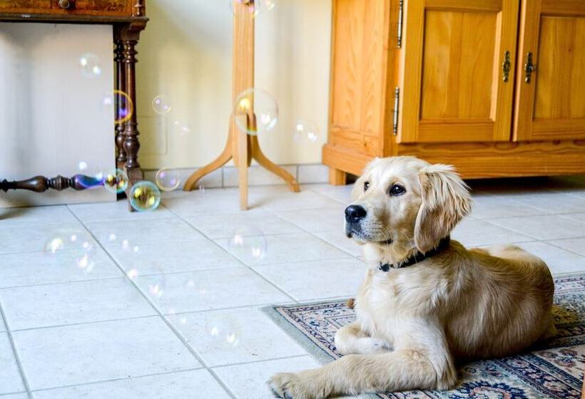 민박 La Closerie Saint Martin