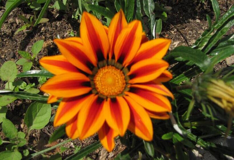 민박 Popote Et Polochon