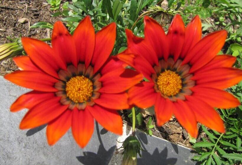 민박 Popote Et Polochon