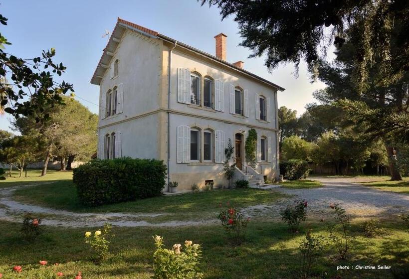 ベッドアンドブレックファースト Un Nid En Camargue