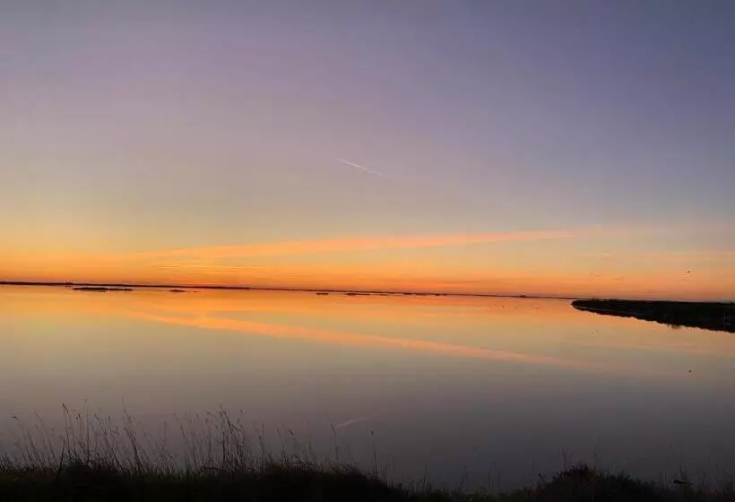 ベッドアンドブレックファースト Un Nid En Camargue