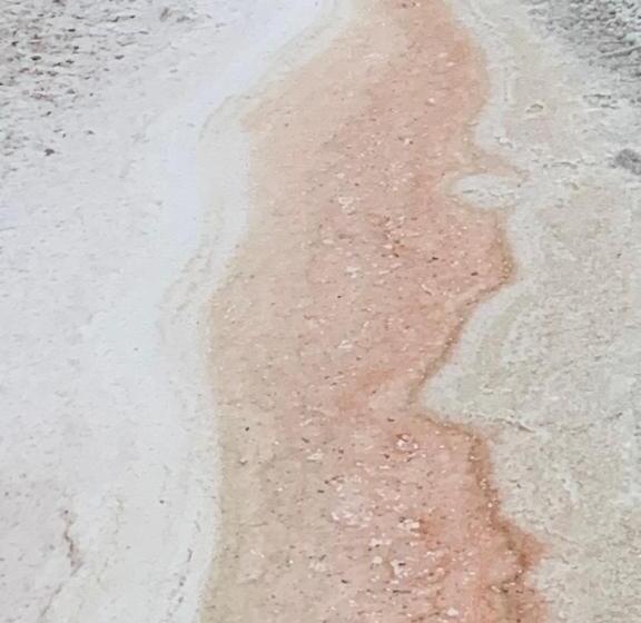 ベッドアンドブレックファースト Un Nid En Camargue