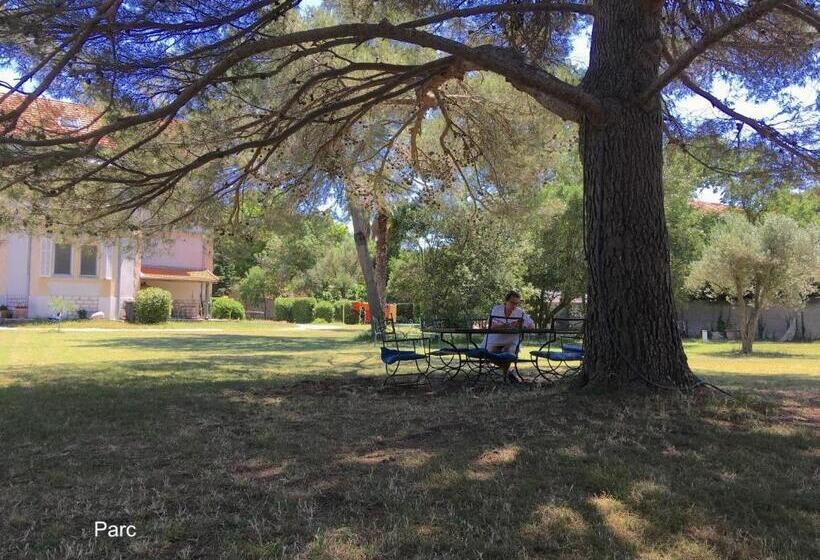 ベッドアンドブレックファースト Un Nid En Camargue