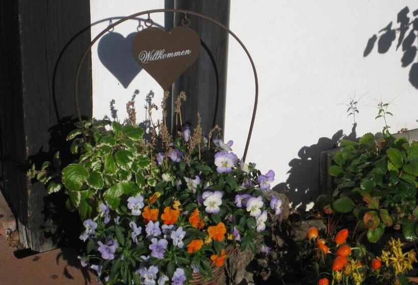 ホテル Dreikausens Landgasthaus Wildhof