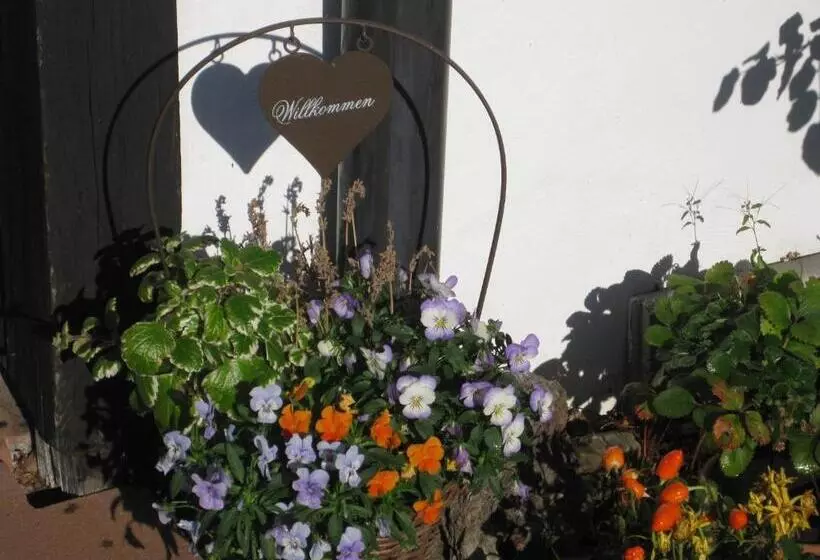 ホテル Dreikausens Landgasthaus Wildhof