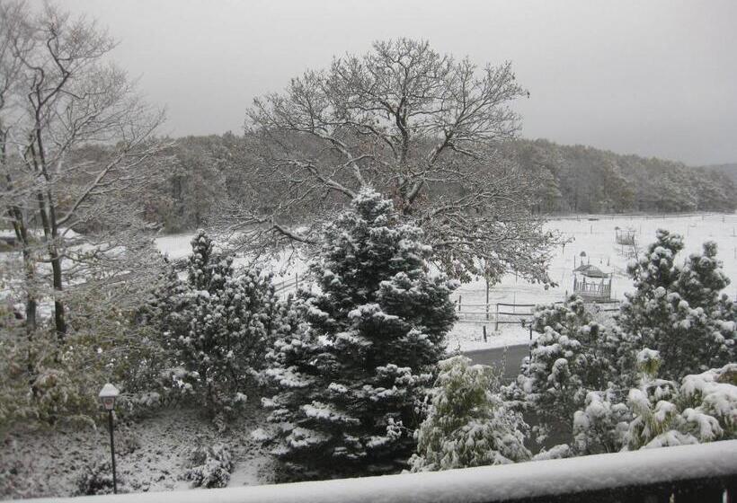 ホテル Dreikausens Landgasthaus Wildhof