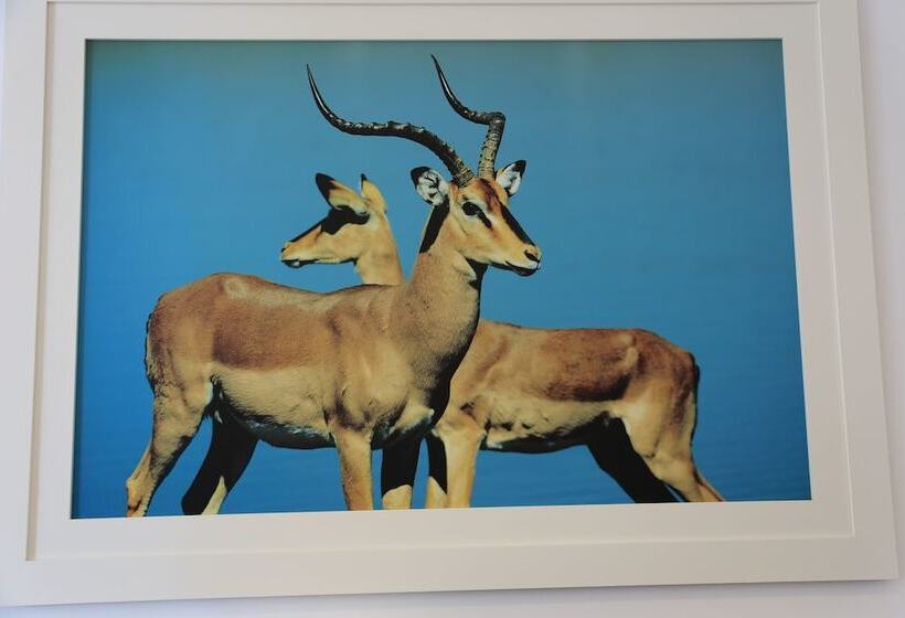 בית מלון כפרי Fly