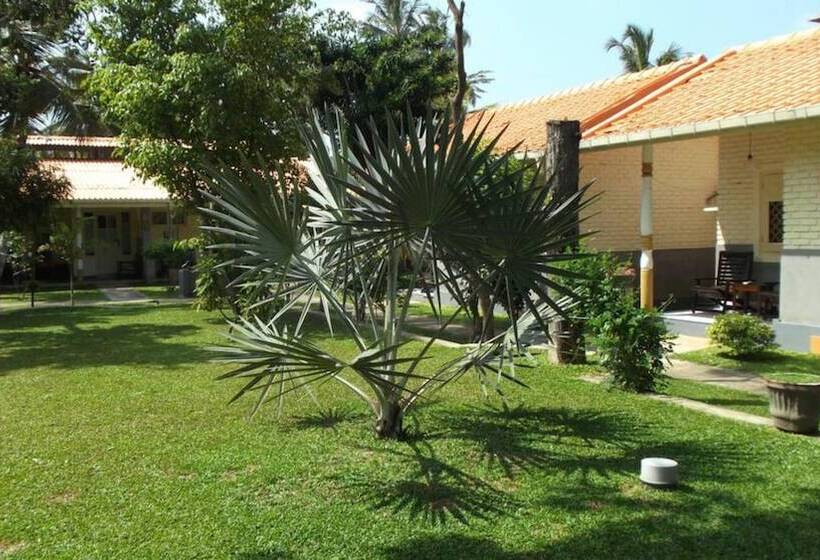 فندق Morning Star Resorts