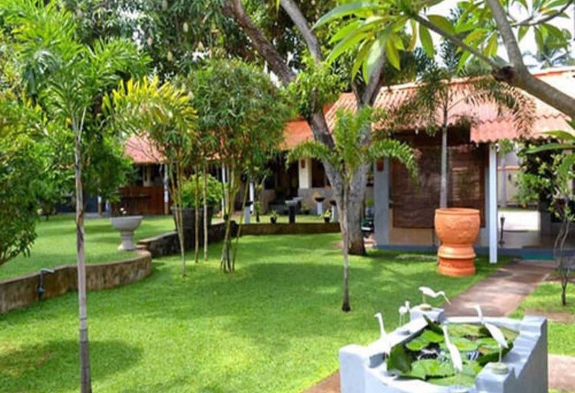 ホテル Morning Star Resorts