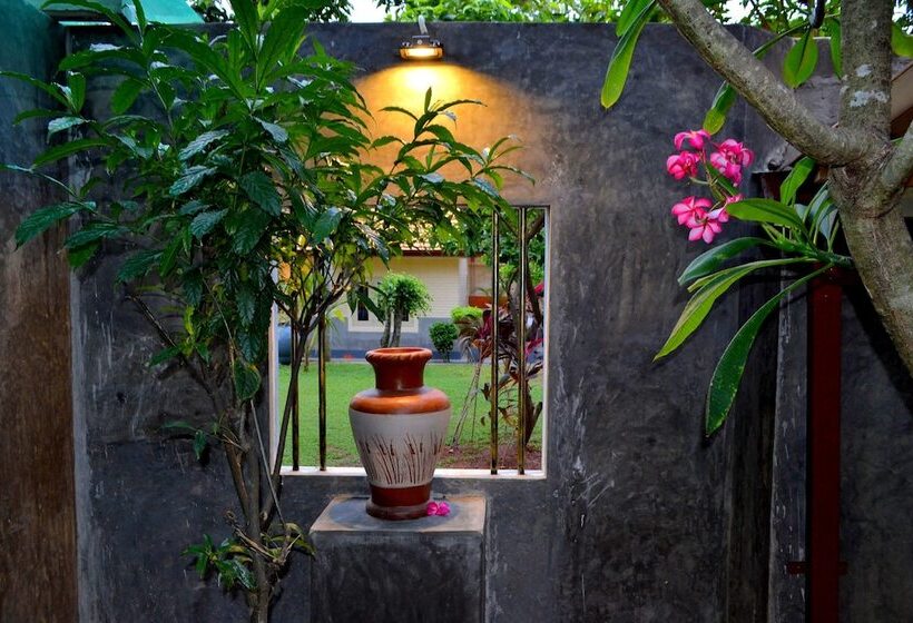 ホテル Morning Star Resorts