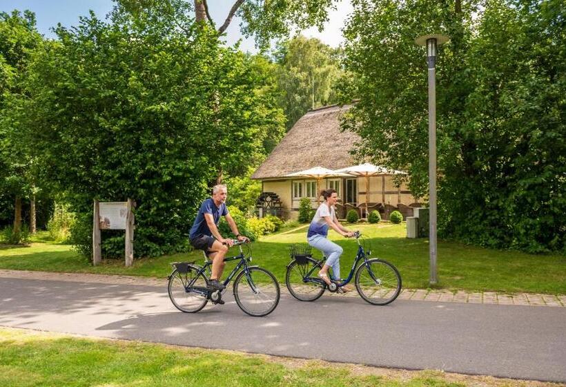 Hotel Beech Resort Plauer See