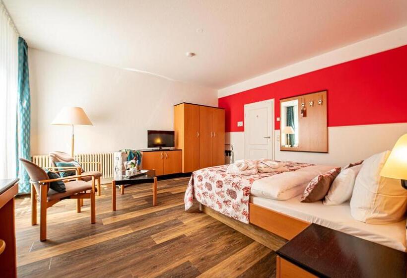 Отель Villa Halliger