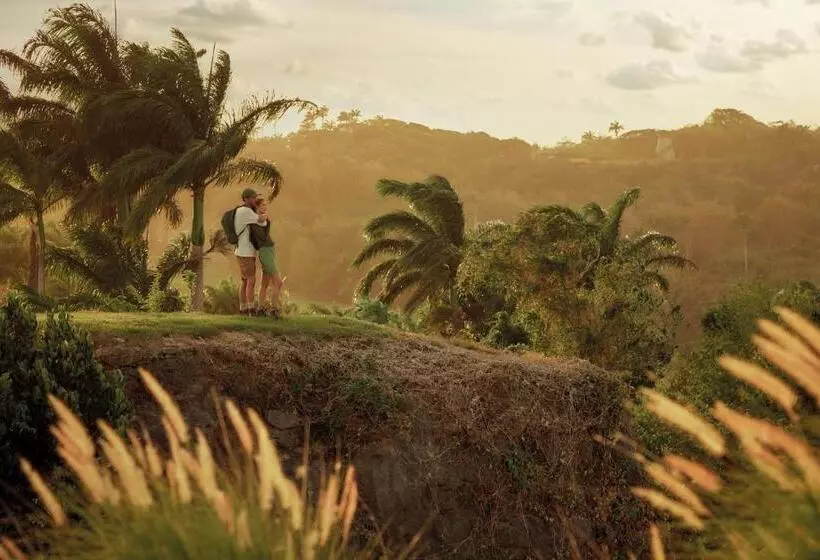 Apes Hill Barbados Golf And Resort Community