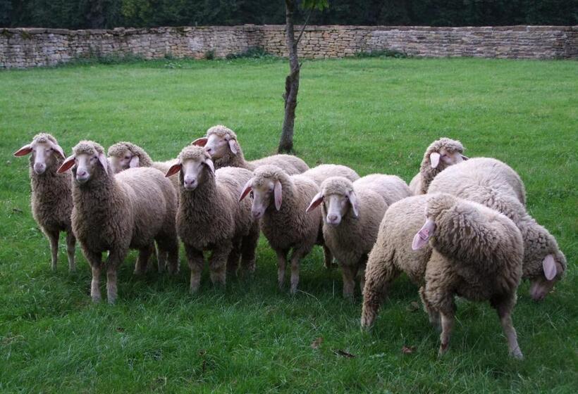 צימר Domaine De Gondrange Chambres D Hôtes