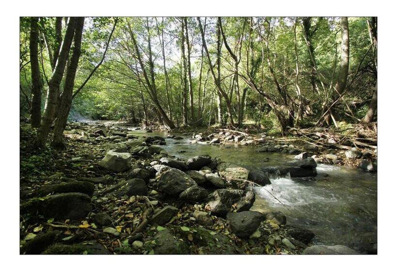 Bed and Breakfast Ferme Du Pic D Allier
