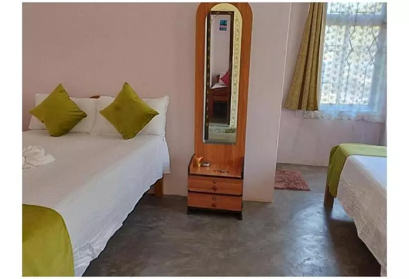 ホテル Anmeti Travellers Inn