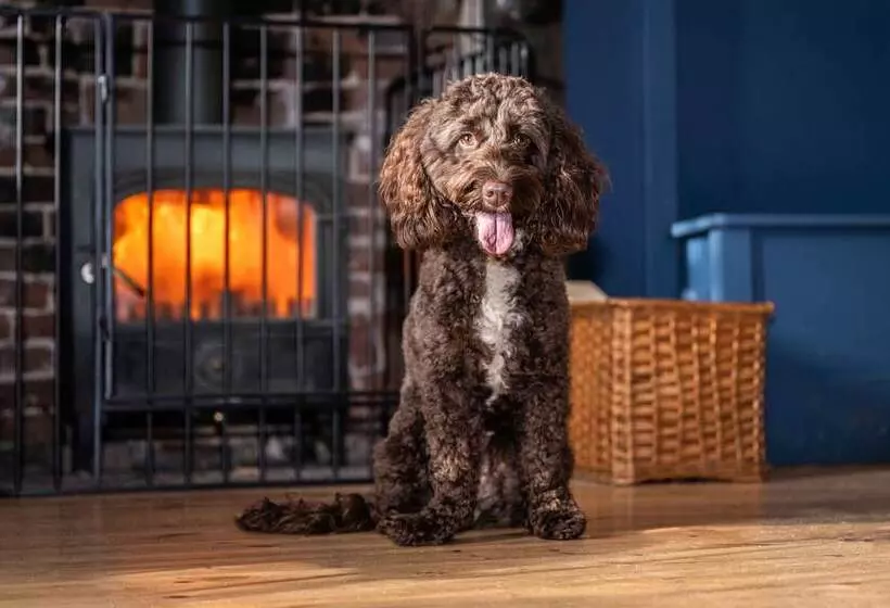 Hotelli The Dial House