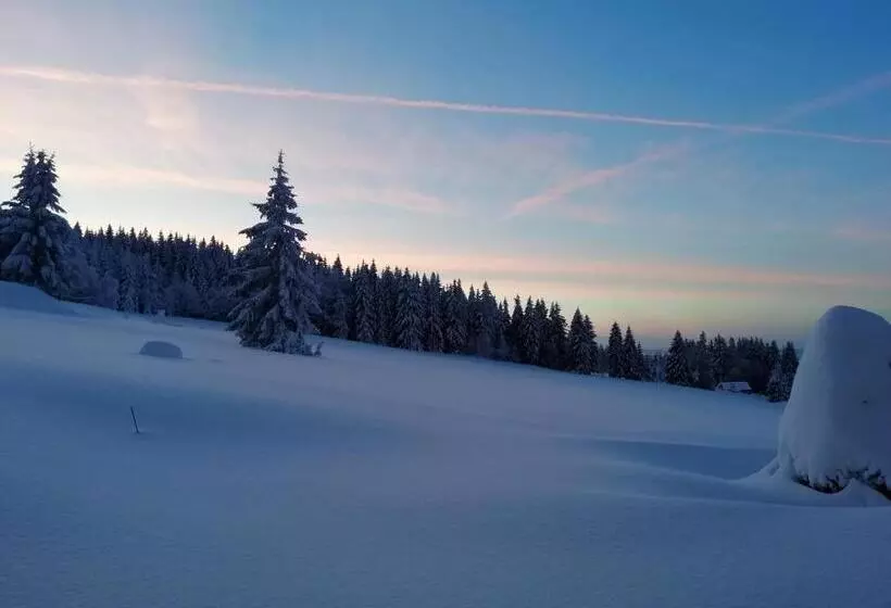 Majatalo Penzion Pochop