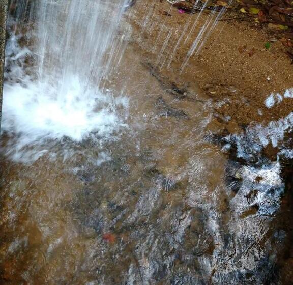 膳宿费 Recanto Das Pedras